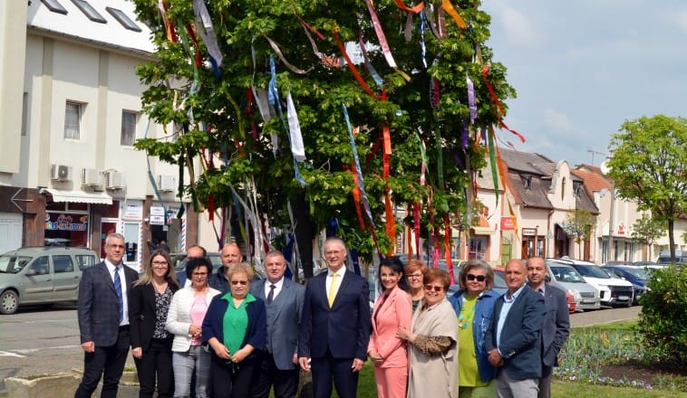 Gyönyörű idén is Mátészalka májusfája