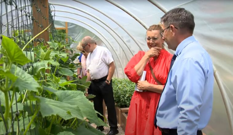 Egyedülálló iskolakert Mátészalkán