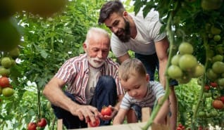 Generációváltással kapcsolatos szakmai konferencia Mátészalkán