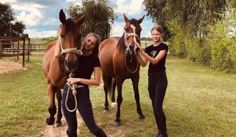 Nyílt nap a Főnix Parkban