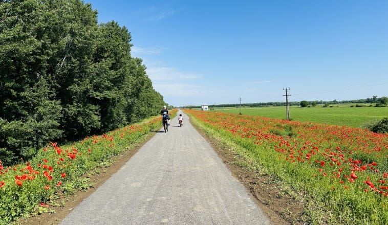 Pipacsmező. Szerelem két keréken. Tour de Gát 2024