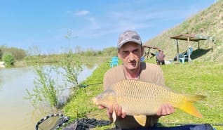 Harmincpluszos ponty szerepel az álmaiban