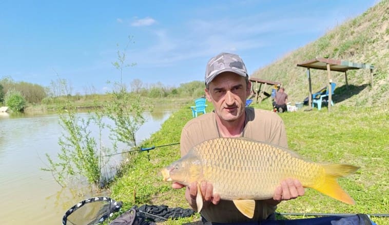 Harmincpluszos ponty szerepel az álmaiban