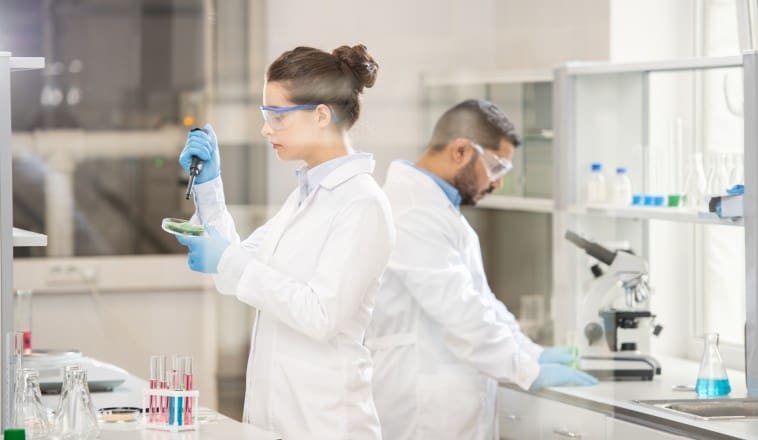 Megújul az Esze Tamás Gimnázium laboratóriuma