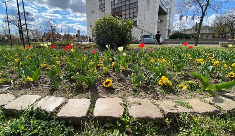 Hozzájárulnak a fenntartható fejlődéshez