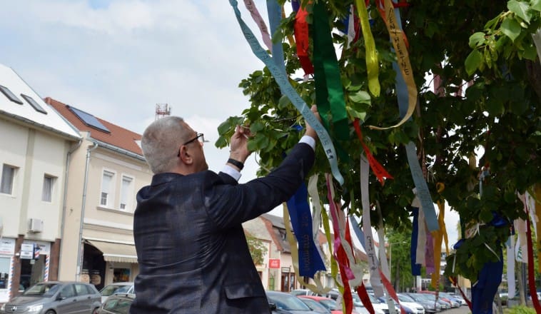 Díszítsük fel neveinkkel Mátészalka Májusfáját