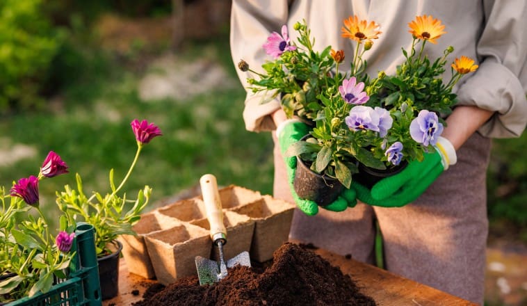 Apró lépésekben újul a város