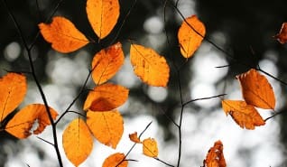 Őszköszöntés dr. Márton Ágnessel