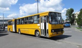 Ingyenes helyi buszjáratok Mátészalkán