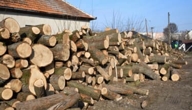 Segítség a nagy hidegben