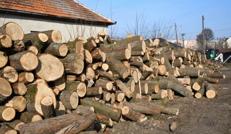 Segítség a nagy hidegben