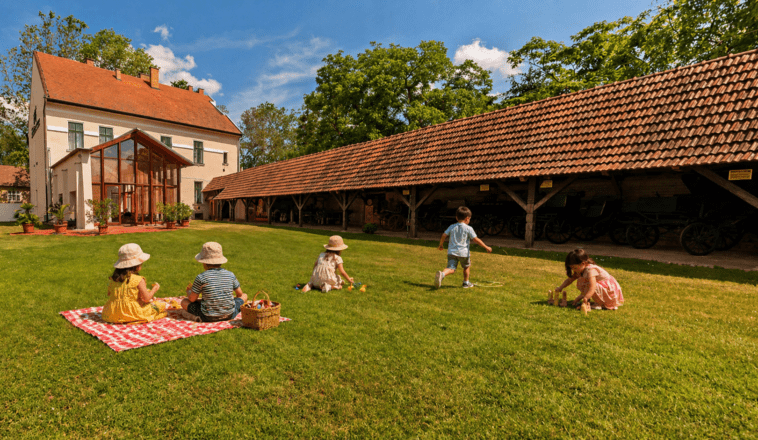 Májusi piknik a Szatmári Múzeumban