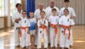 A küzdősport ereje